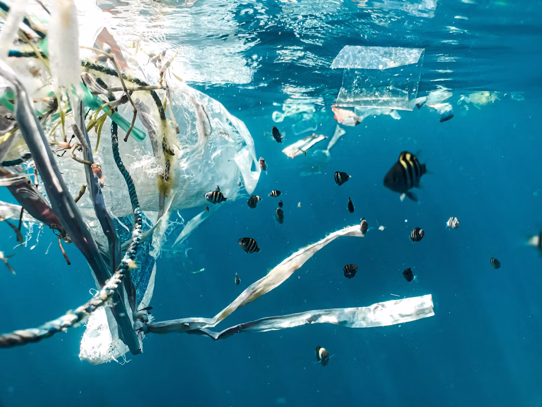 Plastic pollution floating in the ocean